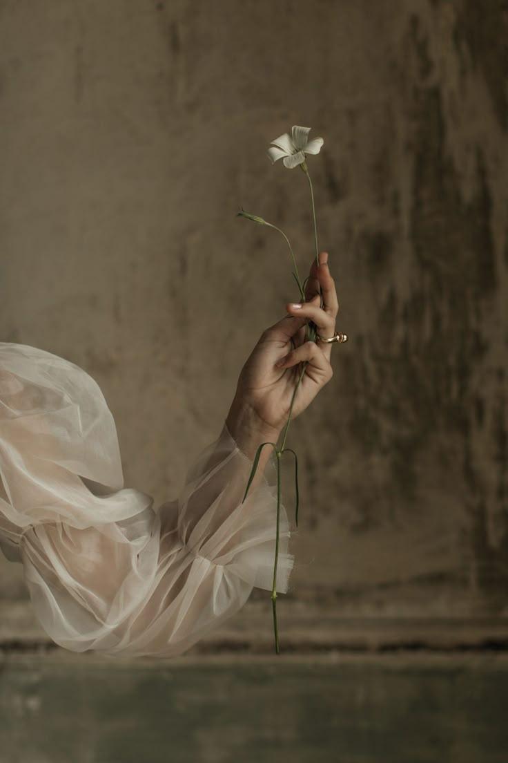 Sunbeam Breeze Anchor workshop space where corporate flower arrangements are designed and prepared for business delivery